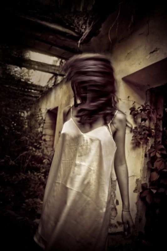 Осиное гнездо. фото превью