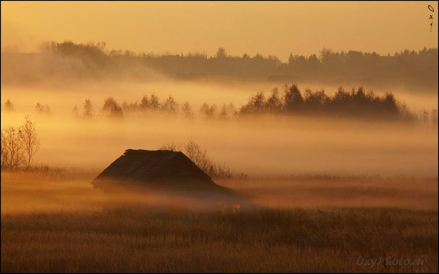 дом, рассвет, туман, утро,, Оксана Борц