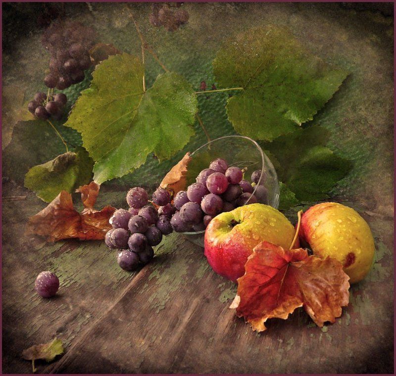 Ноябрьский ноктюрн фото превью