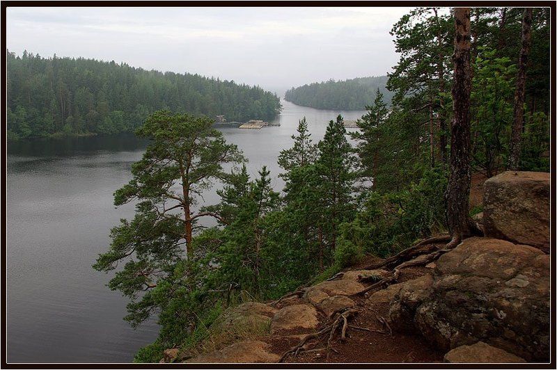 обрыв,лес,бухта Обрыв фото превью