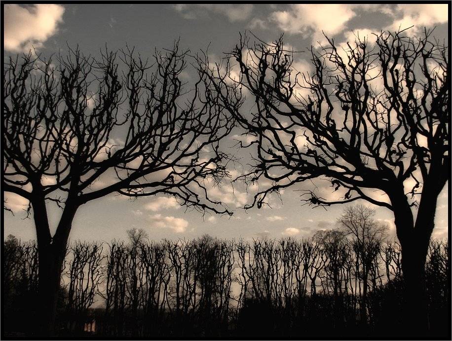 , Лунный Ежик