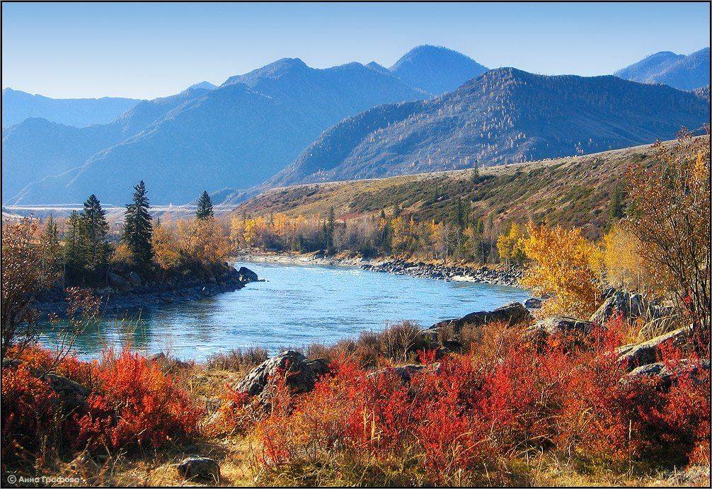 алтай, горы, горный алтай, река, катунь, осень, аня графова, Аня Графова