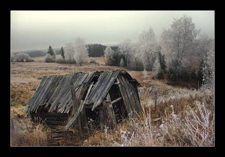 , Константин Стародубцев
