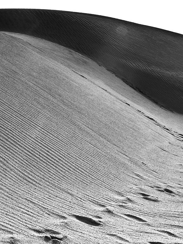 ... фото превью