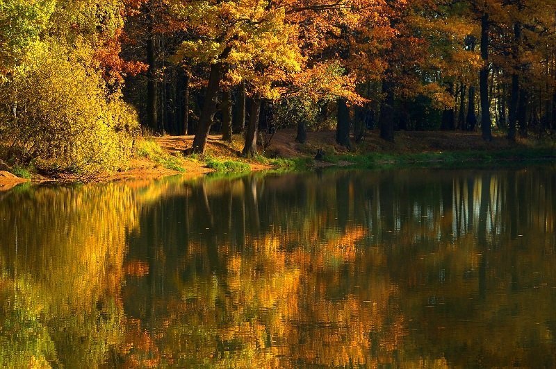 *** Чистые пруды... *** фото превью