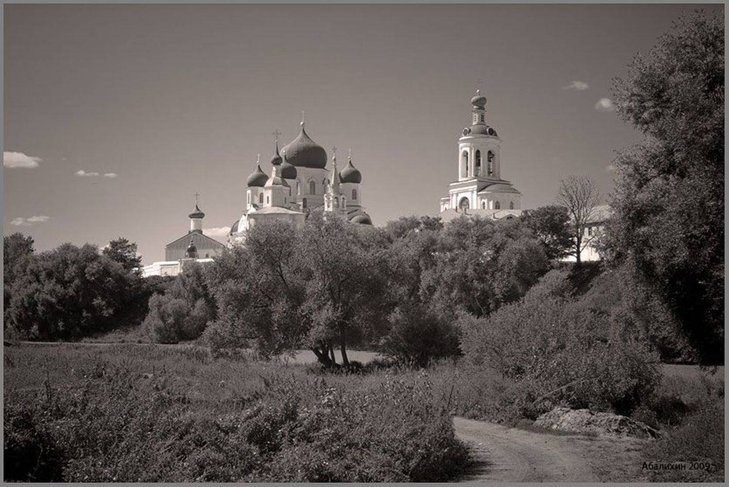 боголюбово, монастырь, Александр Абалихин