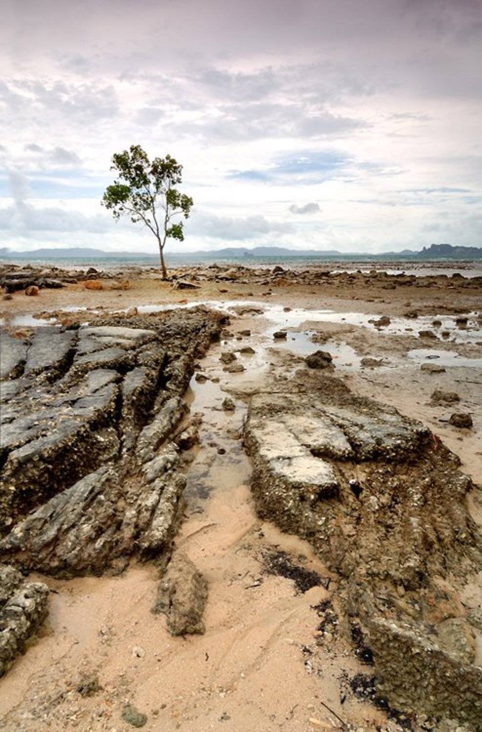 , Токарь Дмитрий