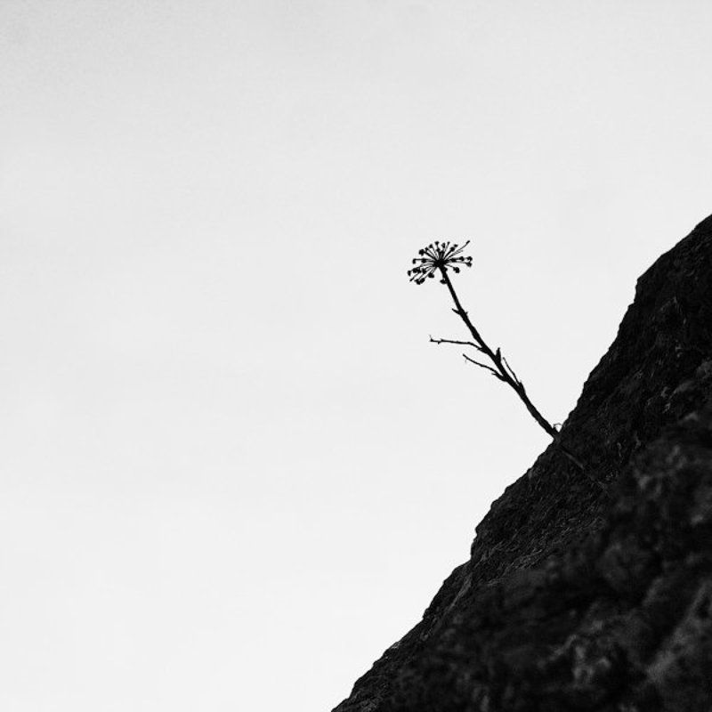 абстракция *** фото превью