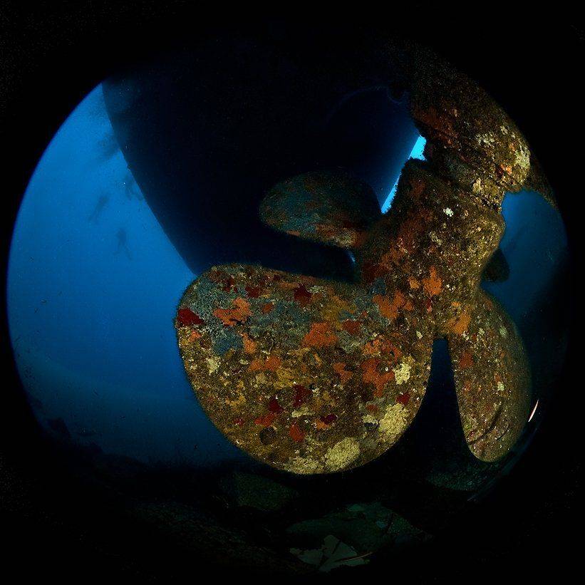 мальта, циркуляр, Сергей Шанин