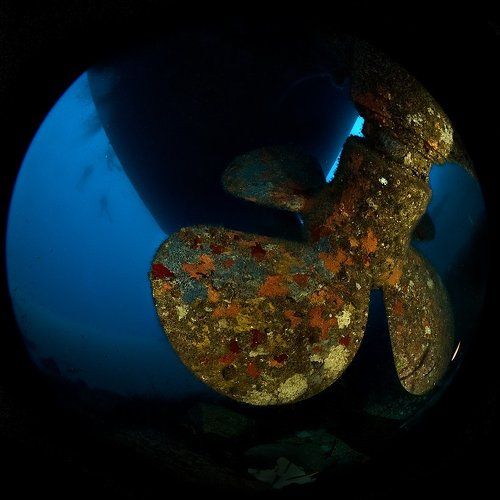 Подводная мясорубка