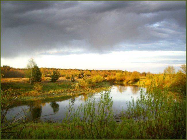 , Юлия Чекмарева