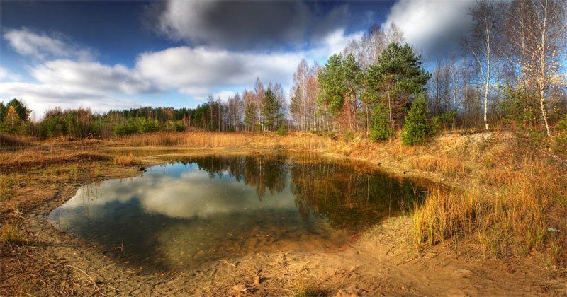 осень,  лужа, отражение, облака что такое осень фото превью