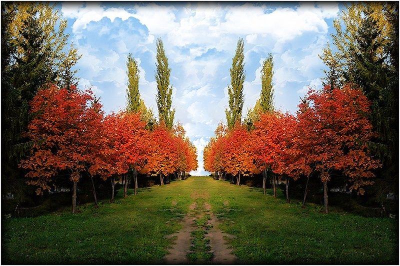 ЧАРОВНИЦА ОСЕНЬ фото превью