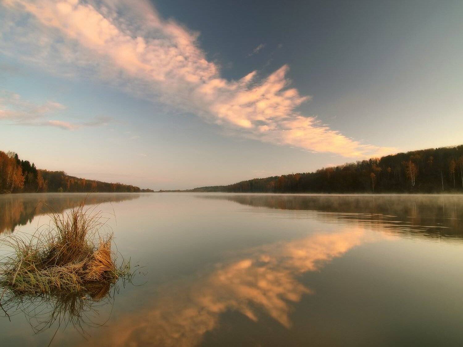 , Максим Евдокимов