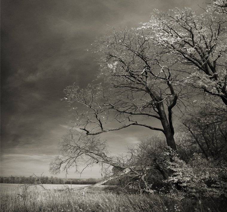 , Эдуард VTORNIK  Николаев