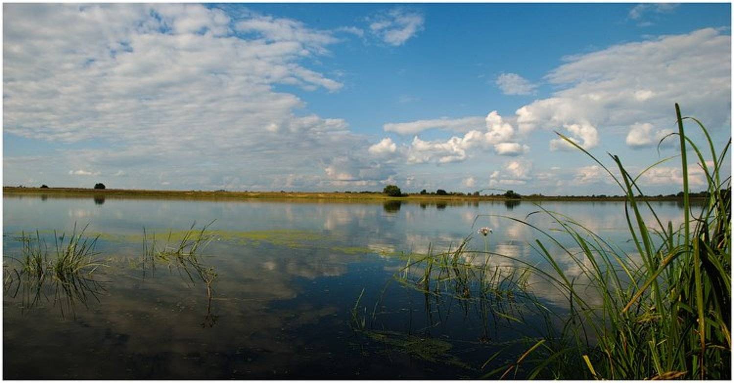 река, тишина, Константин Дмитриев