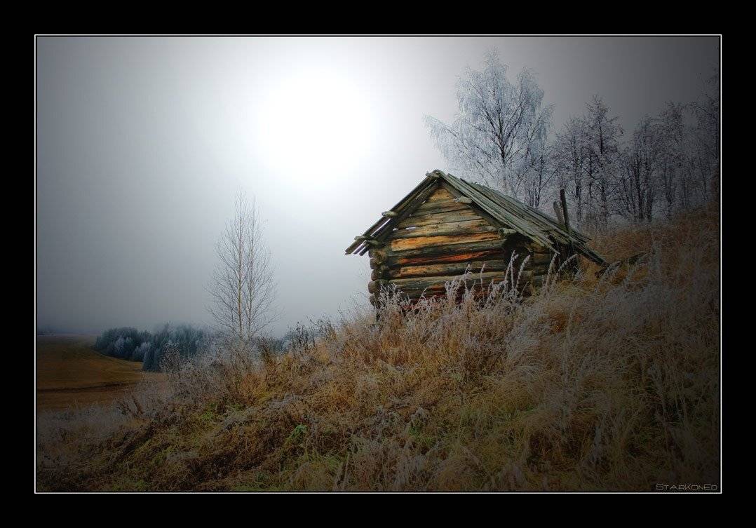 , Константин Стародубцев