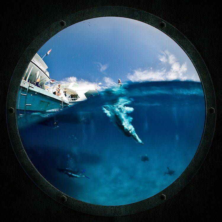 циркуляр, сплит, египет, красное море, Сергей Шанин