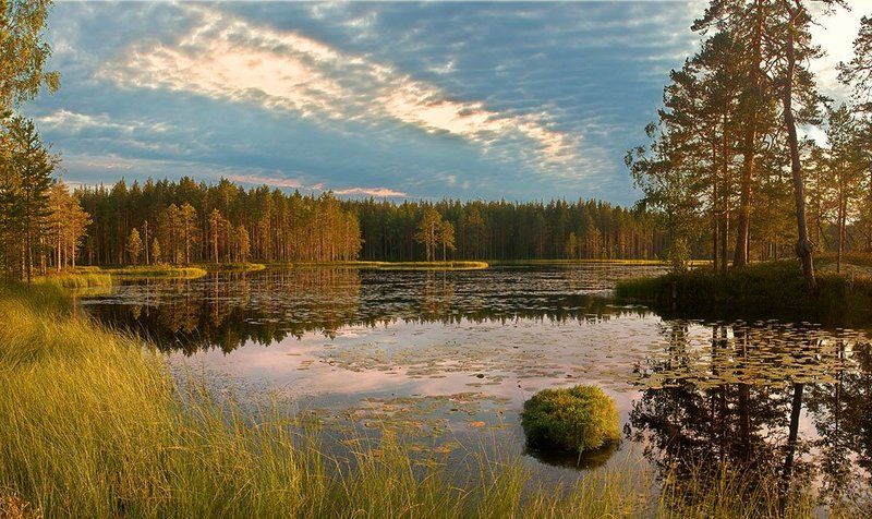 тишина фото превью