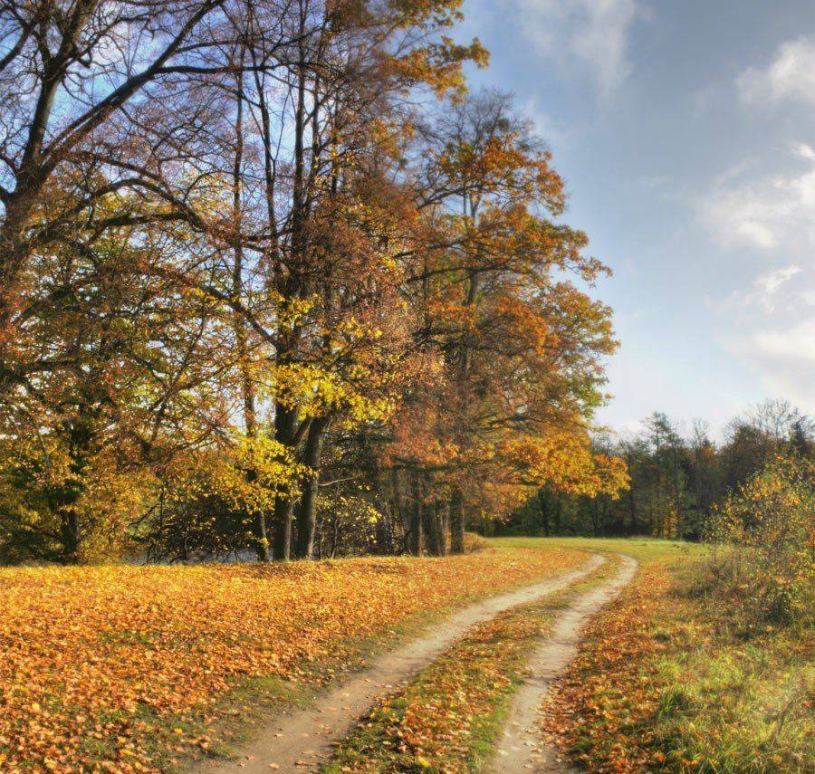 , Павел Дунюшкин