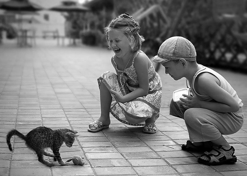 игра фото превью