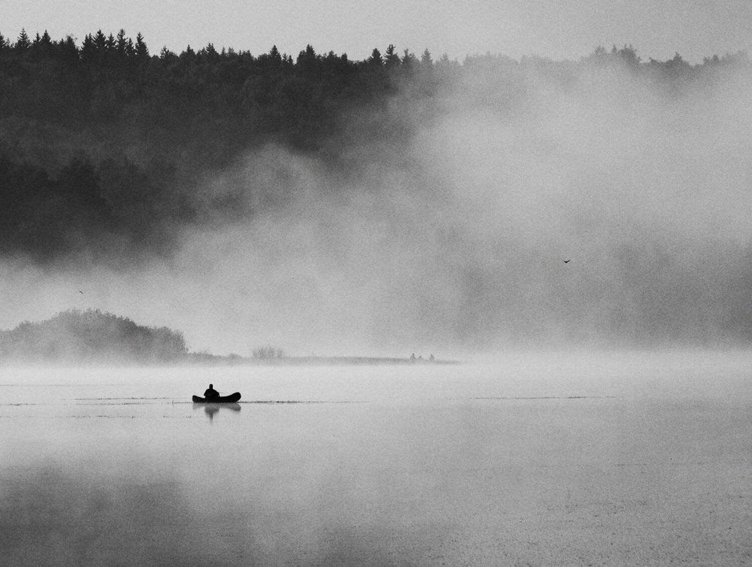 , Максим Евдокимов