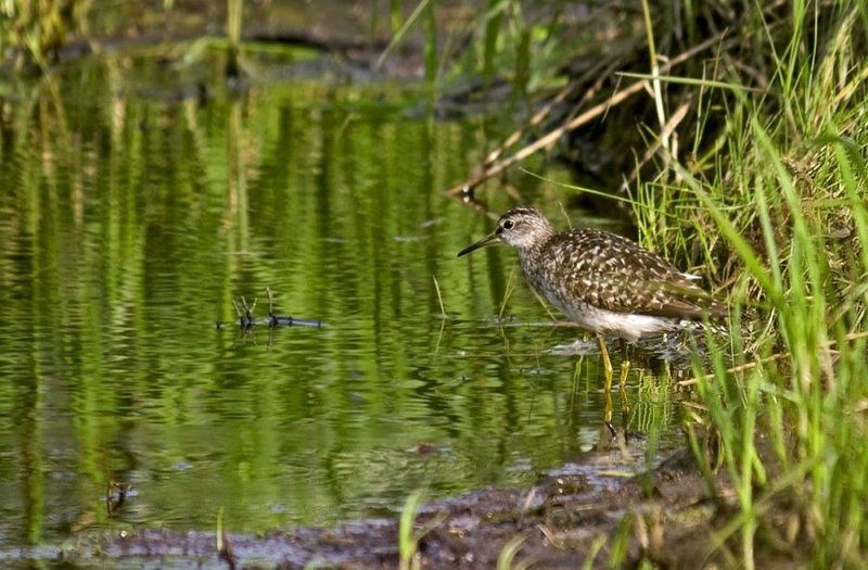 у реки фото превью