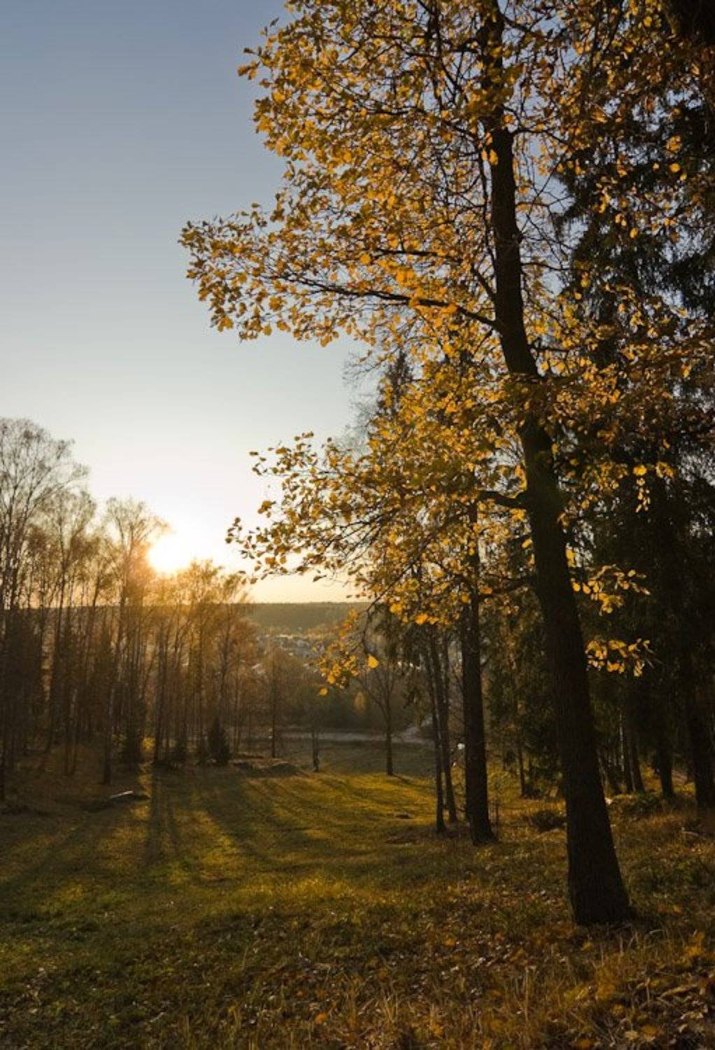 осень, подмосковье, золото, вечер, Gorshkov Igor_Feanorus