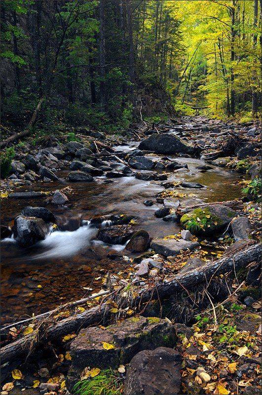 амгу, терней, приморье, северные, земли, Дмитрий Корнилов