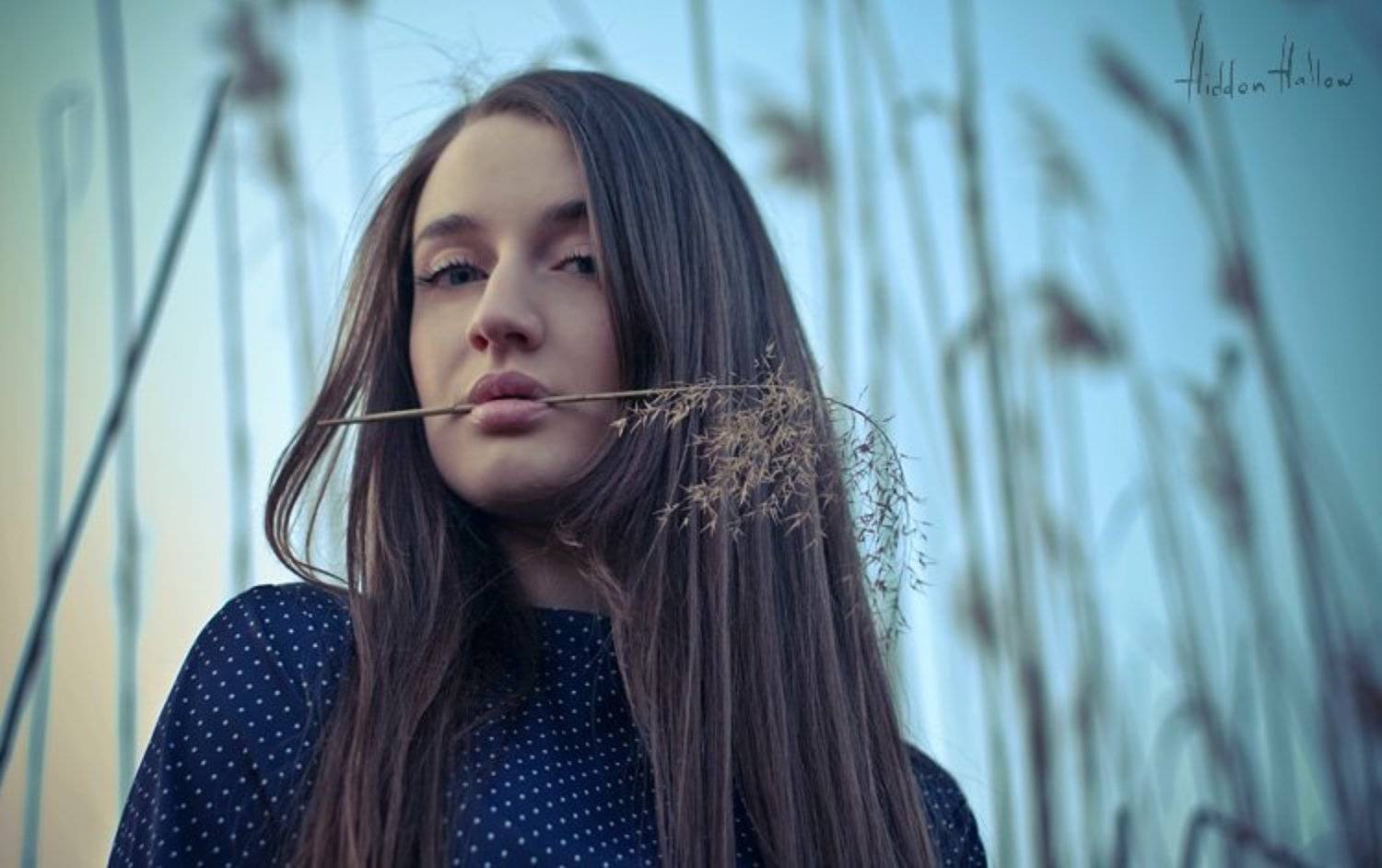 , Кирилл Кириллов