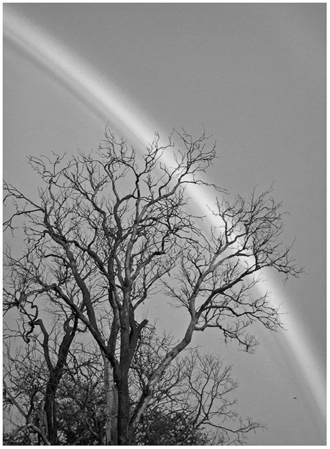 , Александр Абалихин