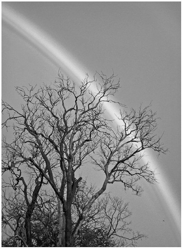 Радуга фото превью