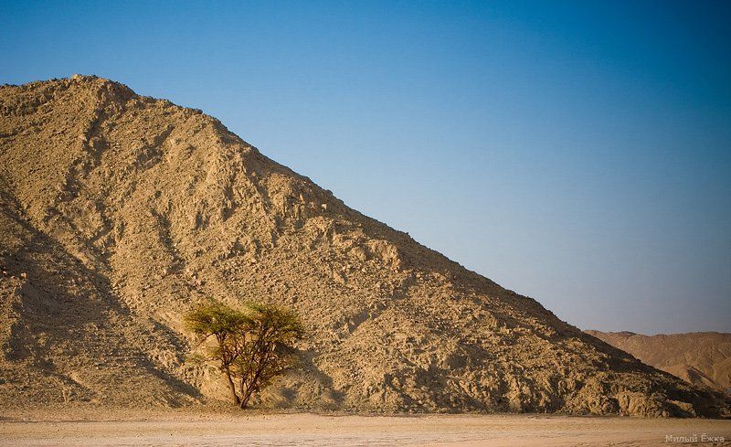 египет Под солнцем.... фото превью