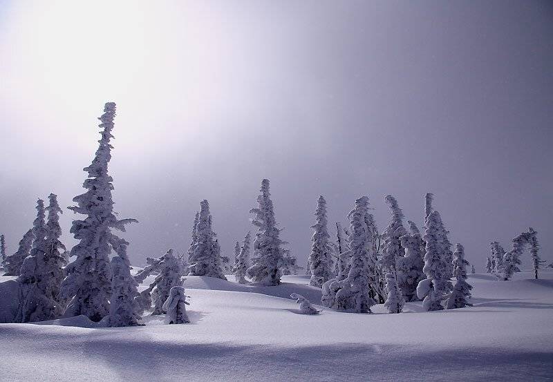 шерегеш, зима, serg