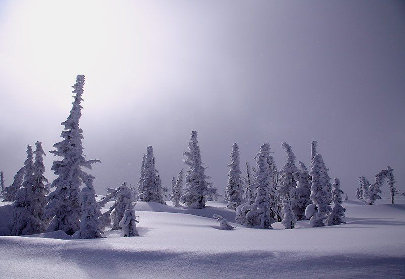 шерегеш, зима в облаках фото превью