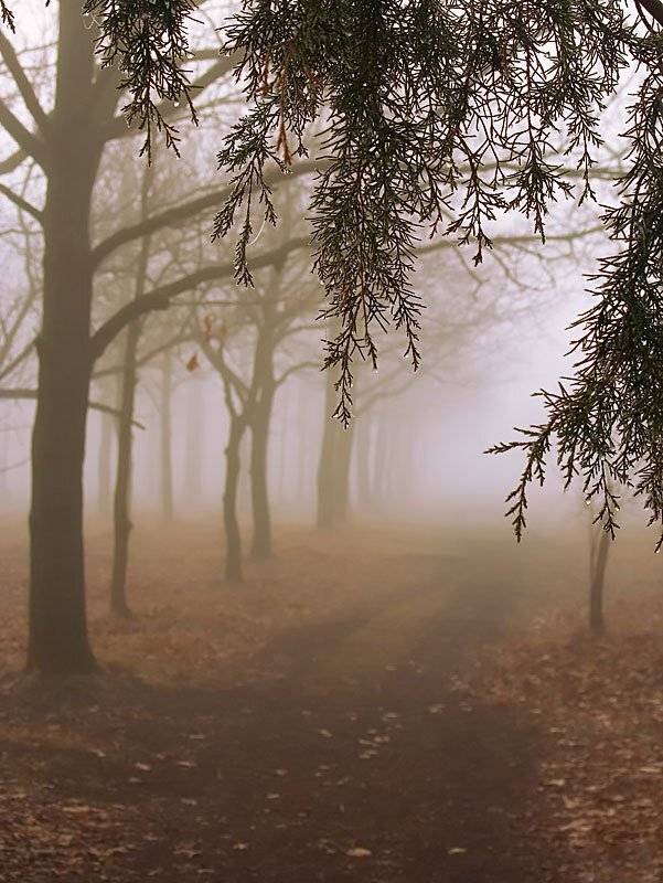 , Sergey Dimchenko