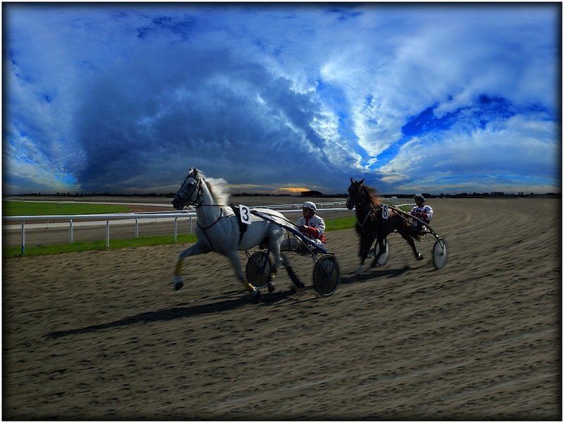 ФИНИШ фото превью