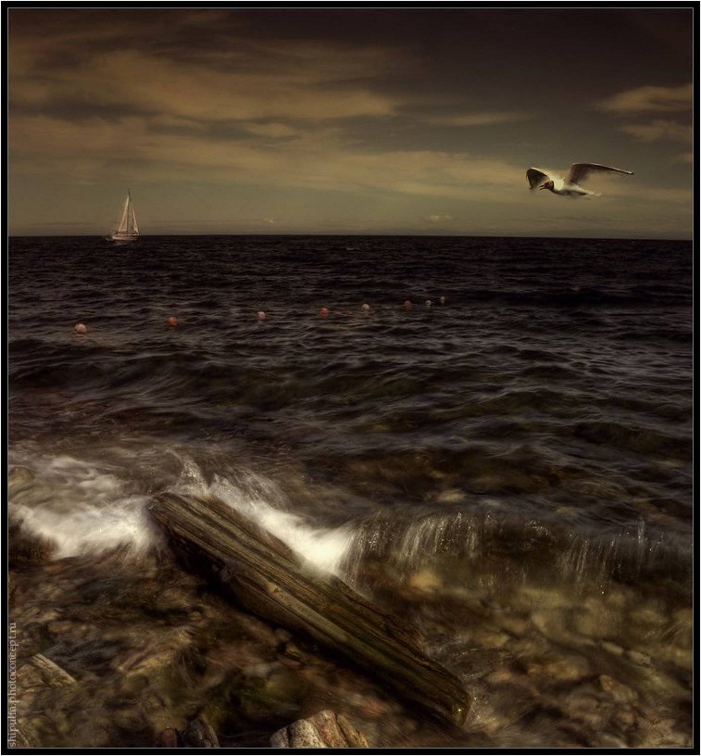 море,буйки,чайка,чайки,прилив,прибой,волна,корабль,корабли,парусник,владимир,шипулин,фотограф,томск, Vladim_Shipulin