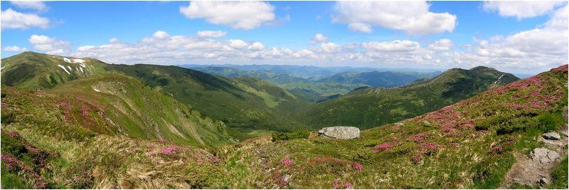 горы, карпаты, украина, панорама Карпаты фото превью