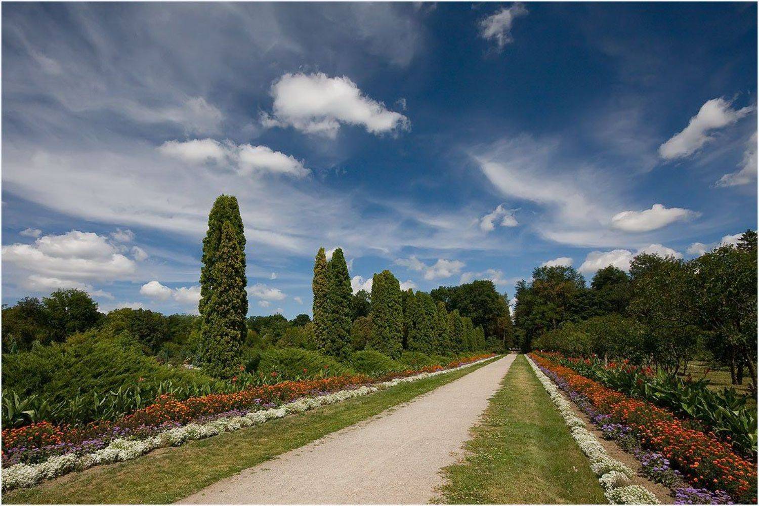 парк, александрия, аллея, Игорь Шевченко