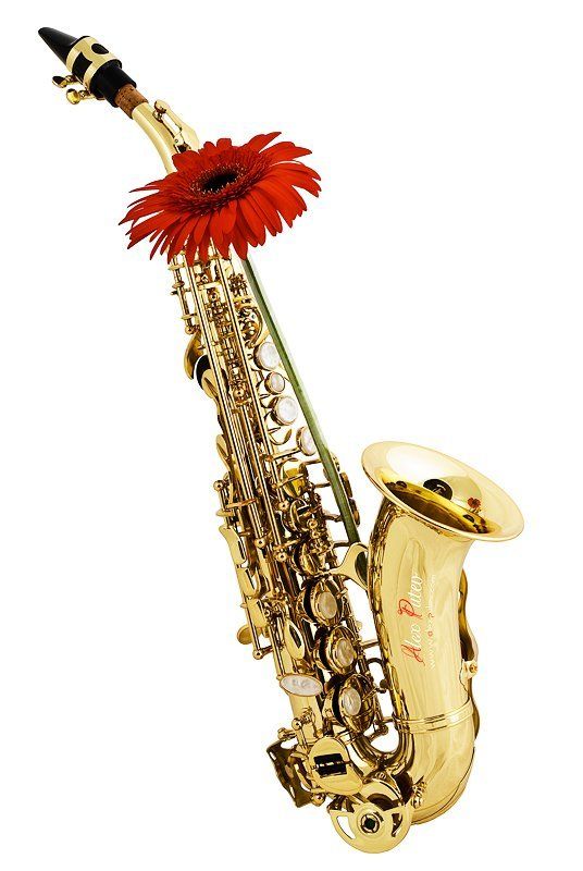 музыка,музыкальные инструменты,магазин,гербера,саксофон,stock,каталог,предметная съемка,высокий ключ Stock Foto фото превью