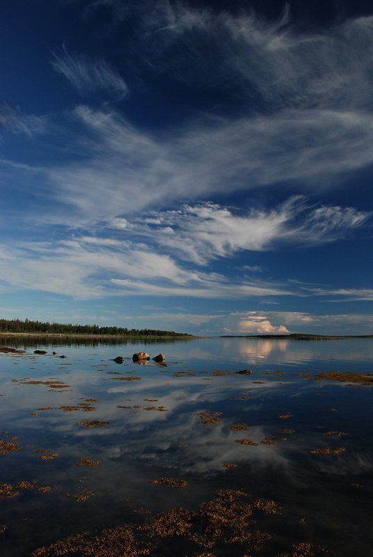 соловки *** фото превью