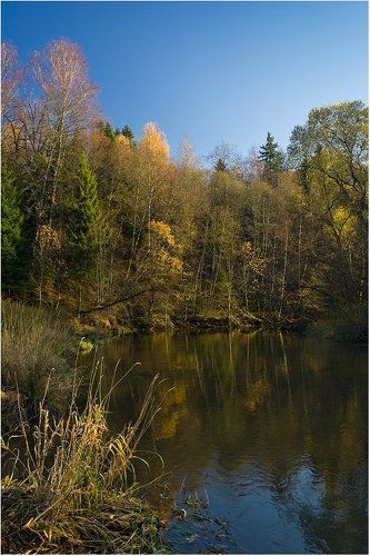 Осенний солнечный день на Воре
