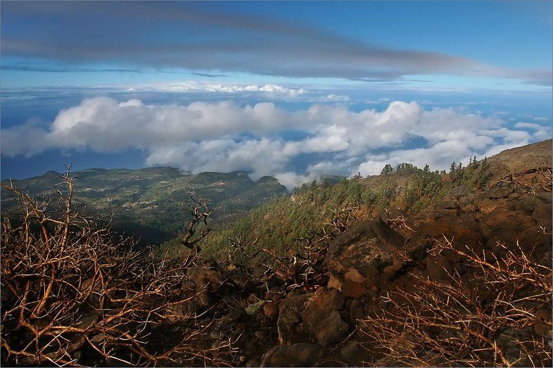 канары Остров  на ладони фото превью