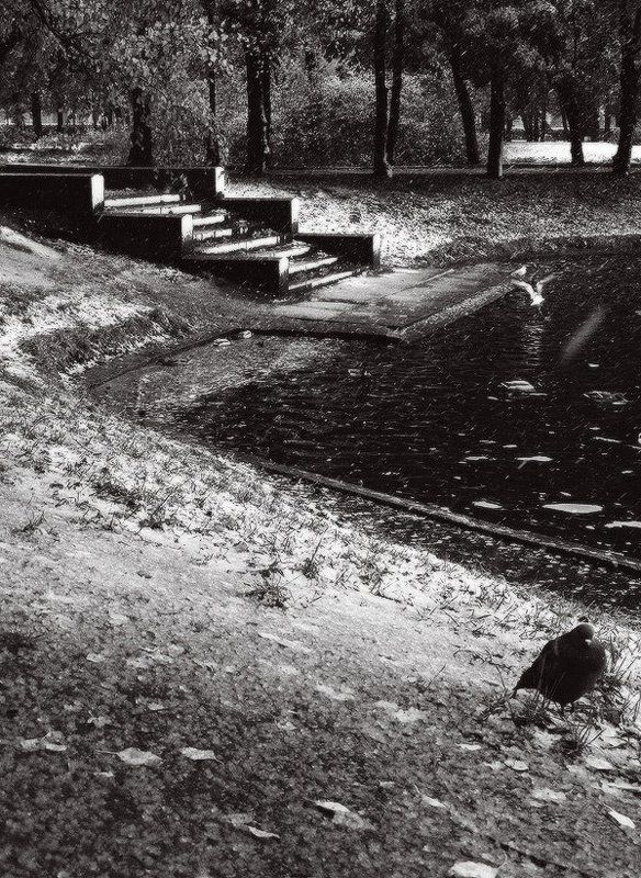 Осенняя грусть фото превью