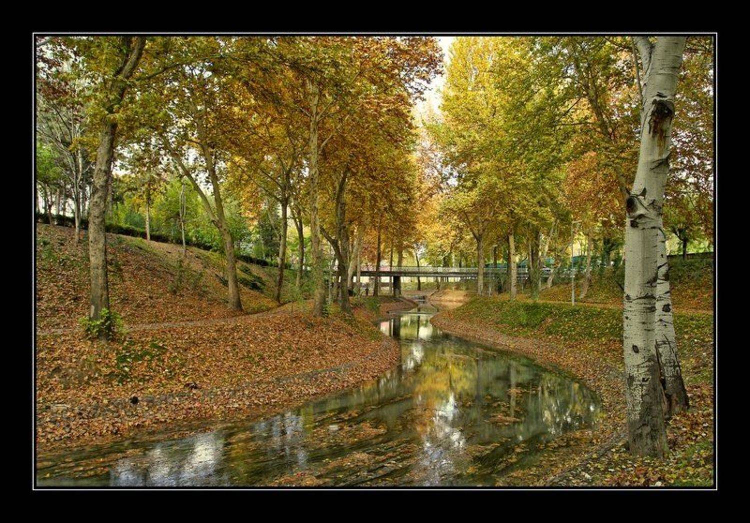 , Артур Коновалов