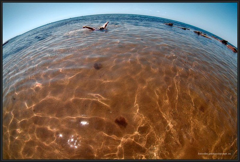 море, пловец Кругосветка фото превью