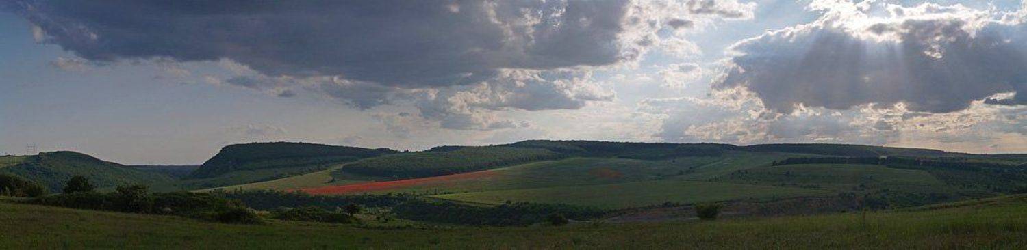 , Александр Ящук