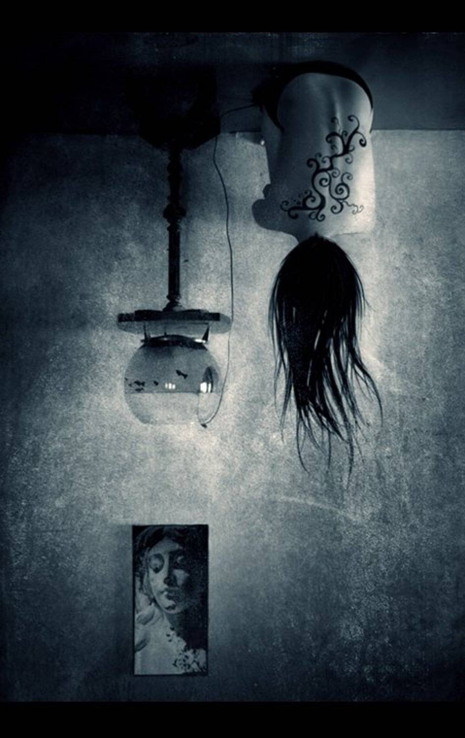 newborn, sailor, volavolko