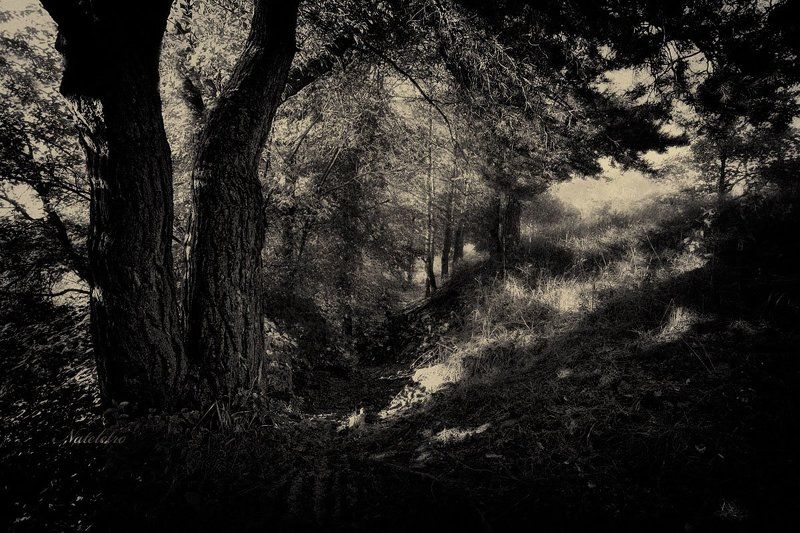 ~*~ фото превью